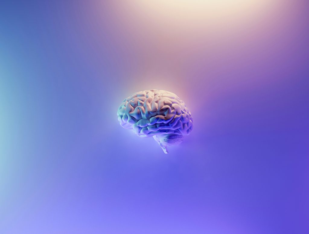Otimizar a Performance Cognitiva com a Nutrigenética